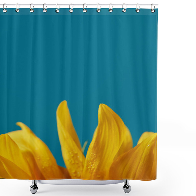 Personality  Drops On Yellow Sunflower Petals, Isolated On Blue With Copy Space Shower Curtains