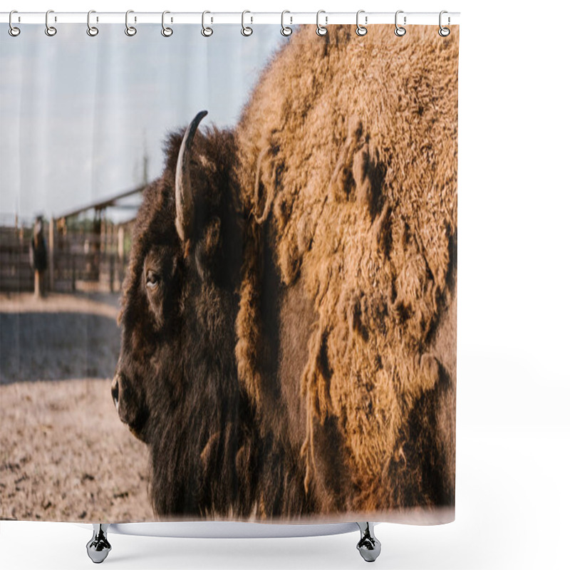 Personality  Close Up View Of Bison Grazing In Corral At Zoo Shower Curtains