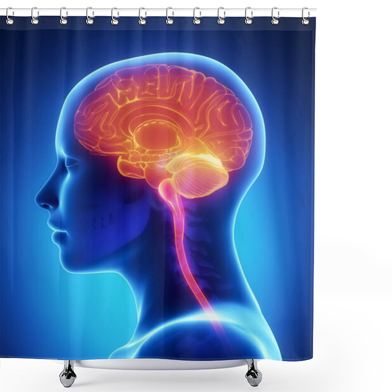 Personality  Female Brain X-ray Anatomy Shower Curtains