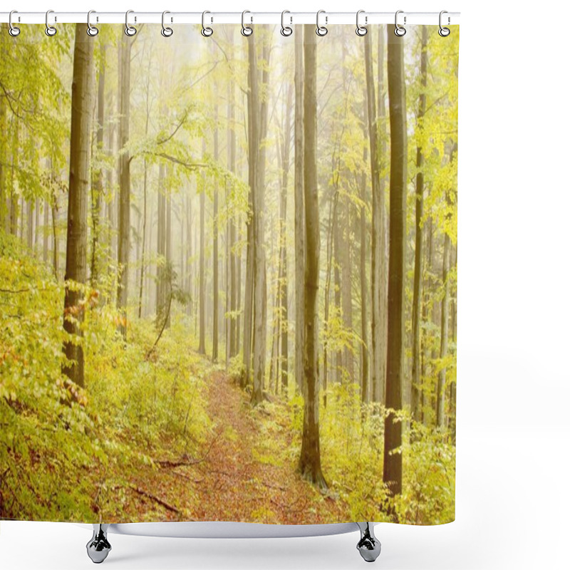 Personality  Misty Beech Forest Shower Curtains