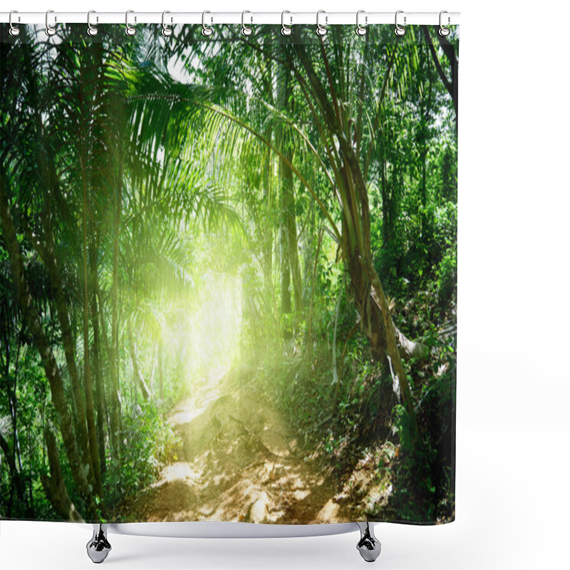 Personality  Ground Road In Jungle Of Dominican Shower Curtains