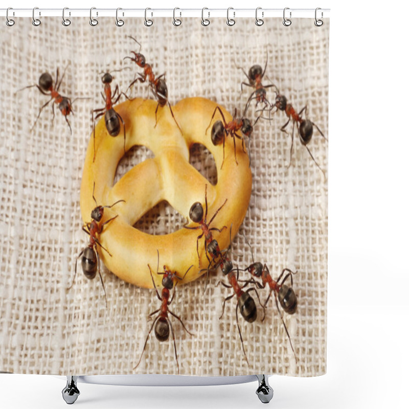 Personality  Ants Solving Problem Of Cake Transportation, Teamwork Shower Curtains