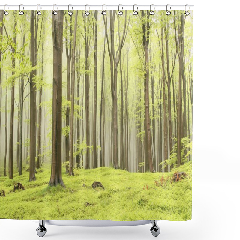 Personality  Misty Spring Forest Shower Curtains