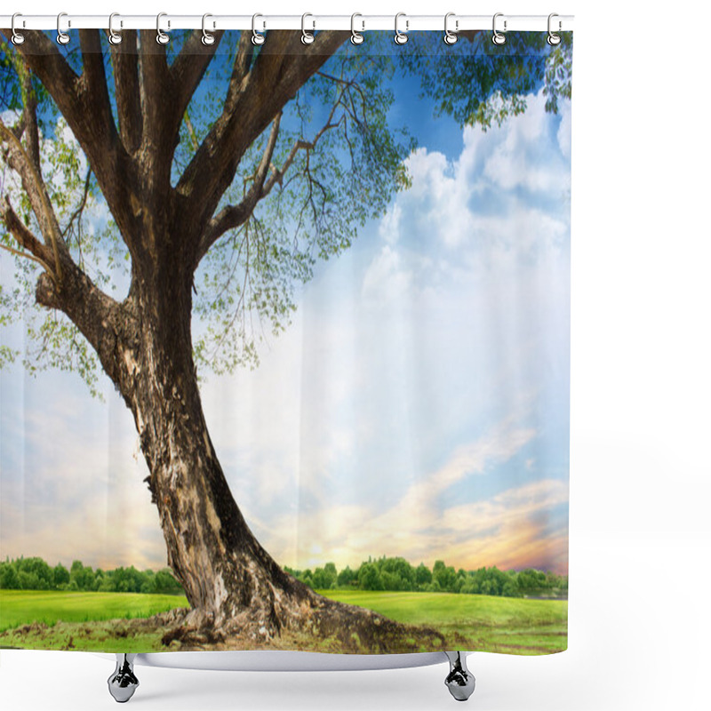 Personality  Spring Meadow With Big Tree With Fresh Green Leaves Shower Curtains