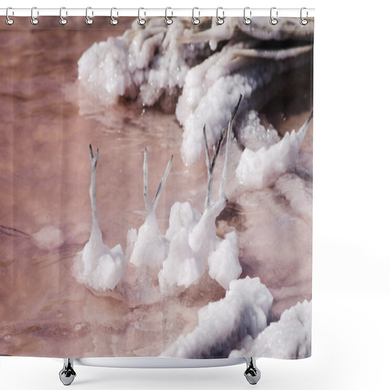 Personality  Salt Crystals On The Branches Shower Curtains