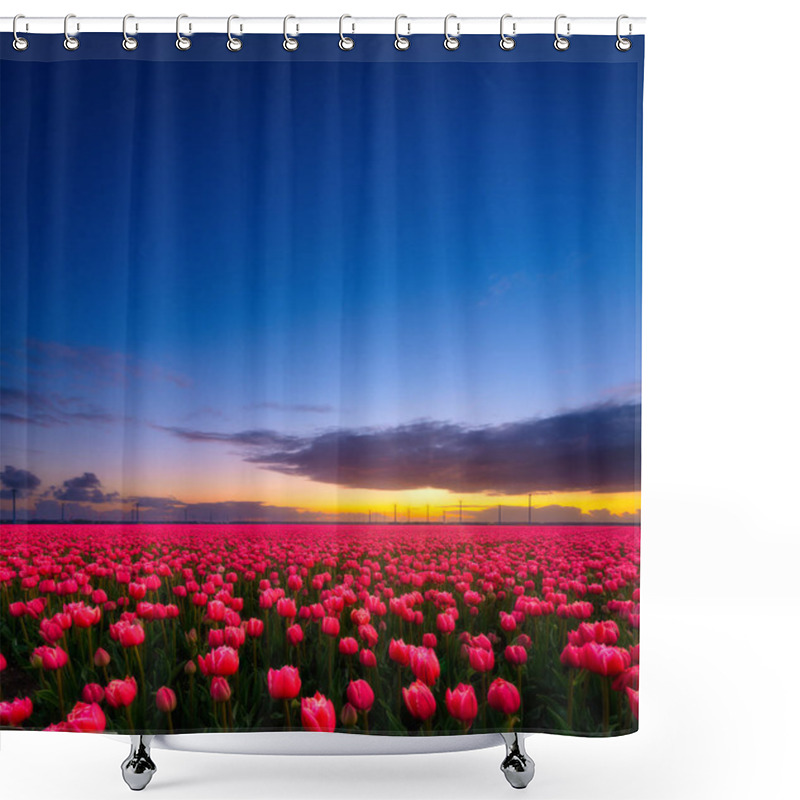 Personality  Netherlands. A Field Of Tulips During Sunset. Rows On The Field. Landscape With Flowers During Sunset. Photo For Wallpaper And Background.  Shower Curtains