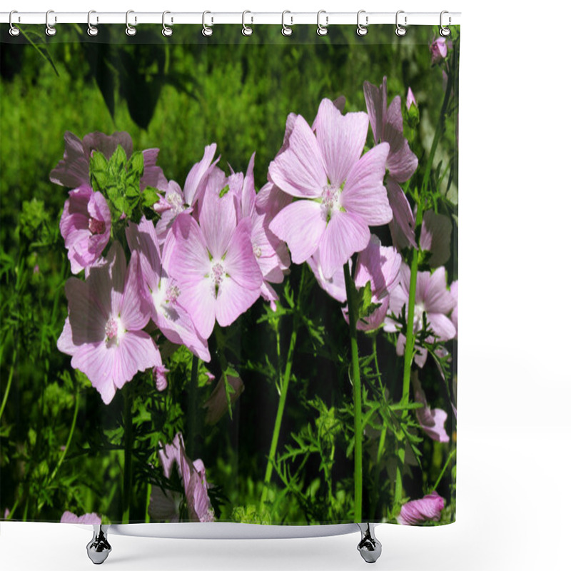 Personality  Mallow Flowers. Shower Curtains