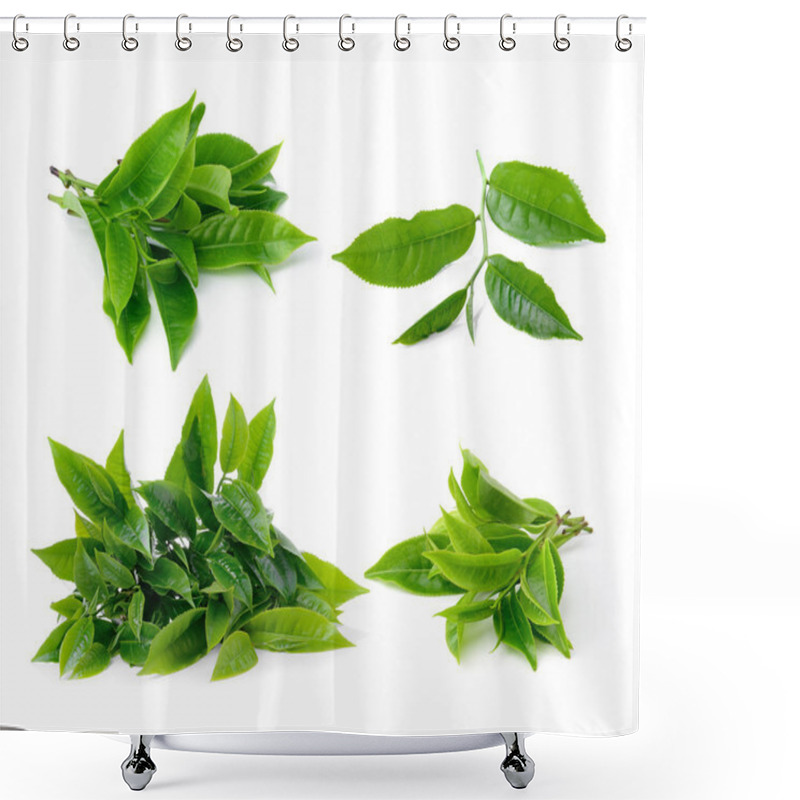 Personality  Set Of Tea Leaf Isolated On White Background Shower Curtains