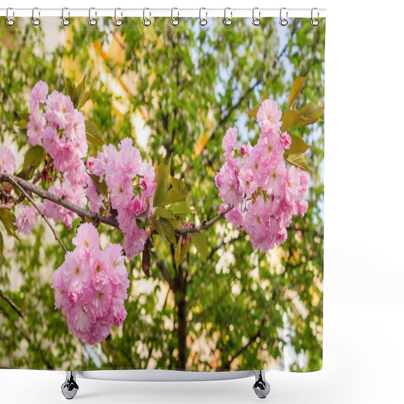 Personality  Pink Blossomed Sakura Flowers With Blur Shower Curtains