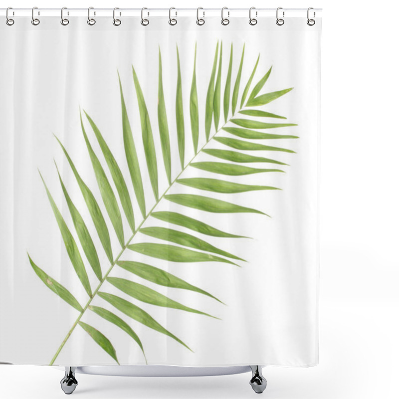 Personality  Beautiful Palm Leaf Isolated On White Shower Curtains