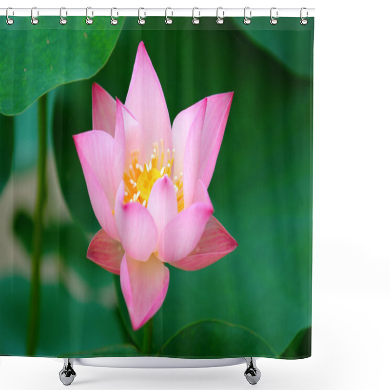 Personality  Blooming Of Lotus Flower Shower Curtains