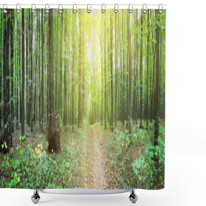 Personality  Forest Shower Curtains