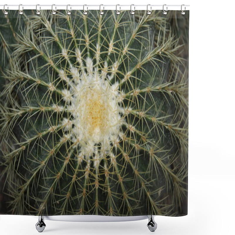 Personality  Tropical Plant, Cactus, Cacti Shower Curtains