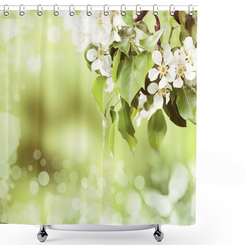 Personality  Blossoms Of A Bird-cherry Tree Shower Curtains