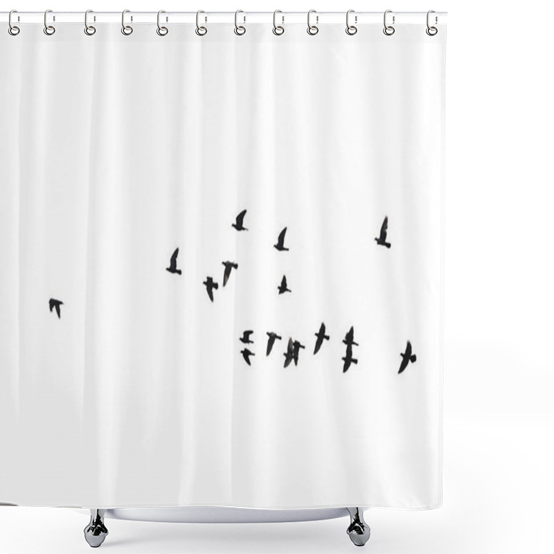 Personality  Flocks Of Flying Pigeons Isolated On White Background. Clipping  Shower Curtains