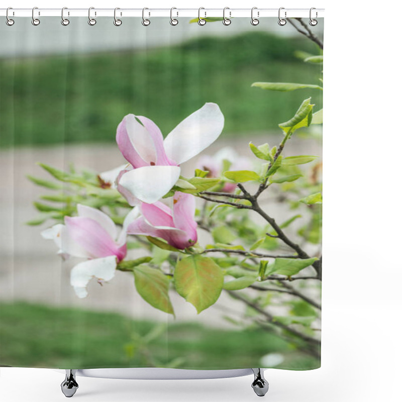 Personality  Close Up View Of Blooming Flowers With Pink And White Petals On Tree Branches Shower Curtains