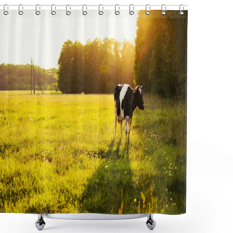 Personality  Cow On Green Grass And Evening Sky Shower Curtains