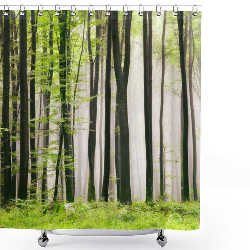 Personality  Spring Forest Shower Curtains