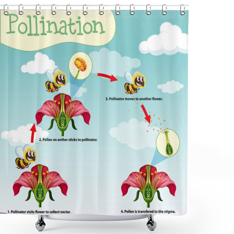 Personality  Diagram Showing Pollination With Bee And Flowers Shower Curtains