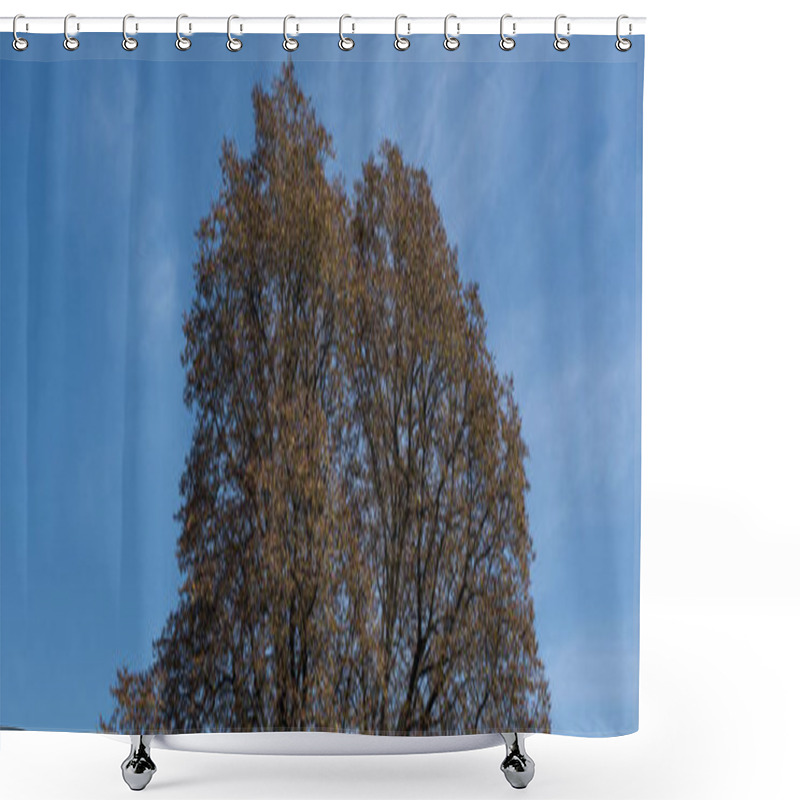 Personality  Panoramic Shot Of Autumnal Trees With Blue Sky At Background Shower Curtains