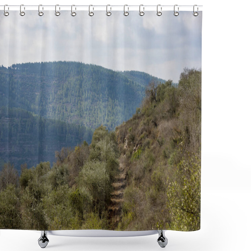 Personality  Olives Olive Trees In The Mountains Of Jerusalem. Shower Curtains