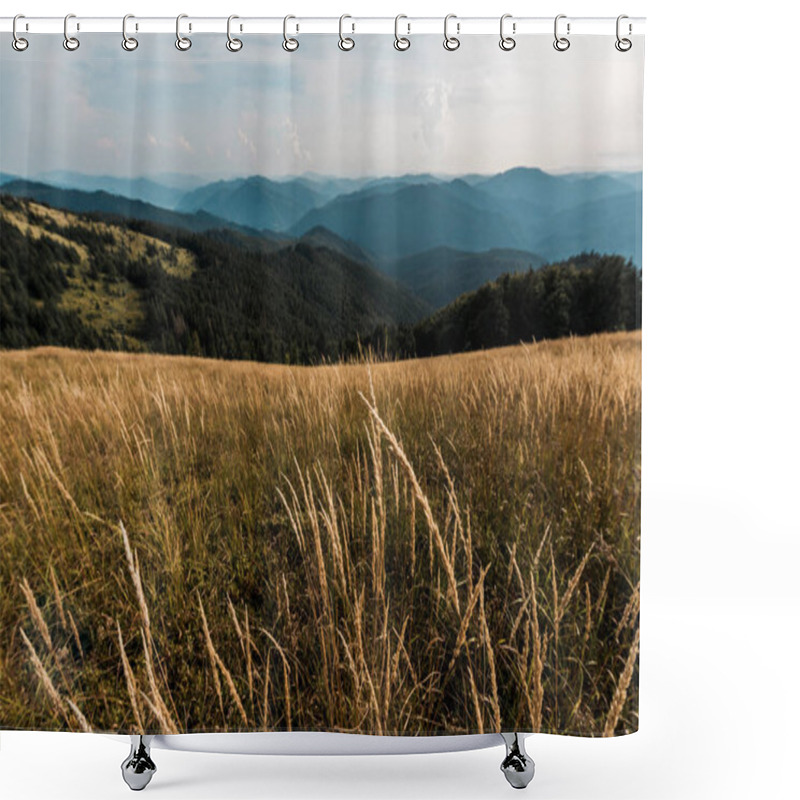 Personality  Selective Focus Of Barley In Meadow Against Sky With Clouds Shower Curtains