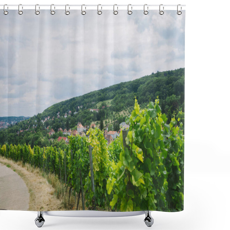 Personality  Beautiful Green Vineyard, Road And Hill In Wurzburg, Germany Shower Curtains