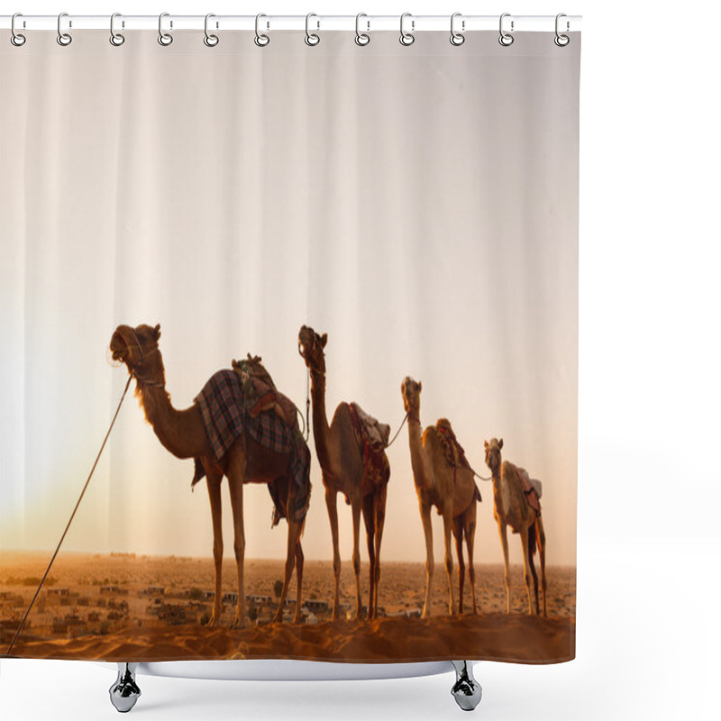 Personality  Camel Caravan Going Through The Desert During Sunset Shower Curtains