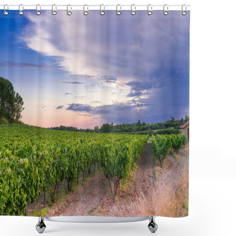 Personality  Vineyard In Provence Shower Curtains