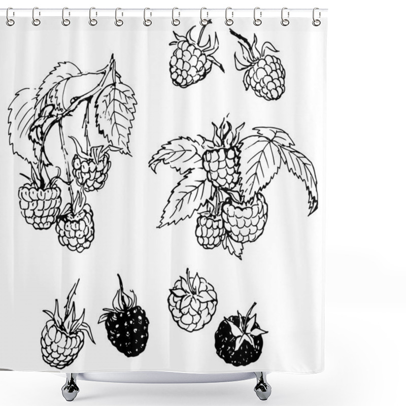 Personality  Raspberry Berries, Leaves Shower Curtains