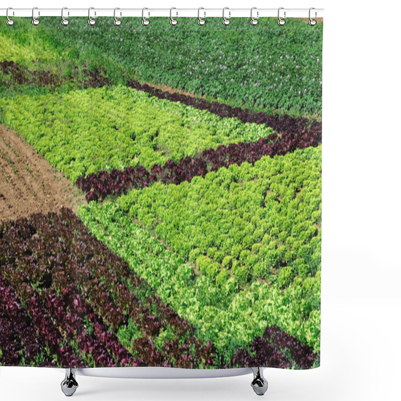 Personality  Market Garden Shower Curtains