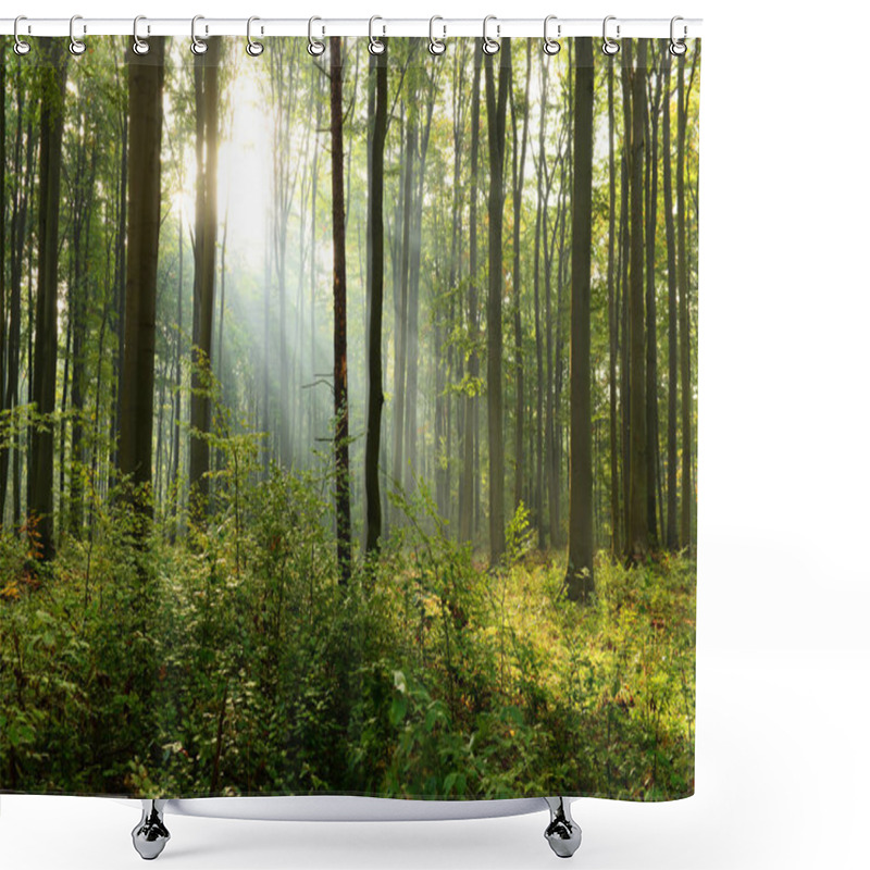 Personality  Beautiful Morning Sunbeams In Misty Forest Shower Curtains