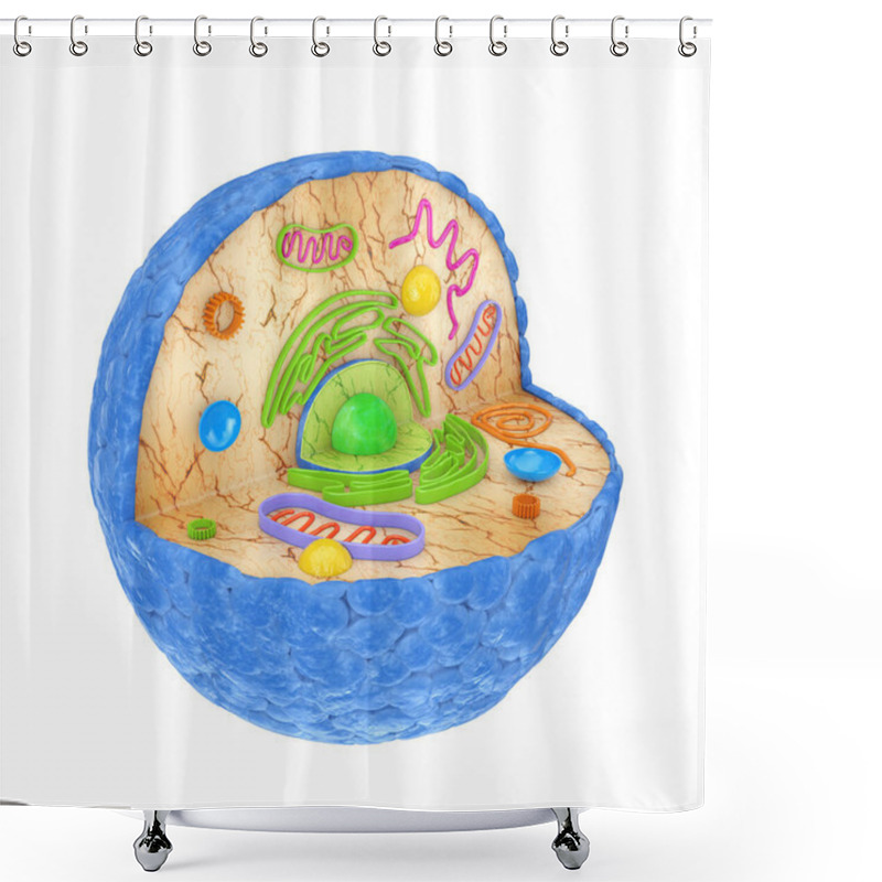 Personality  Internal Diagram Structure Of Human Cell On A White Background. 3d Rendering Shower Curtains