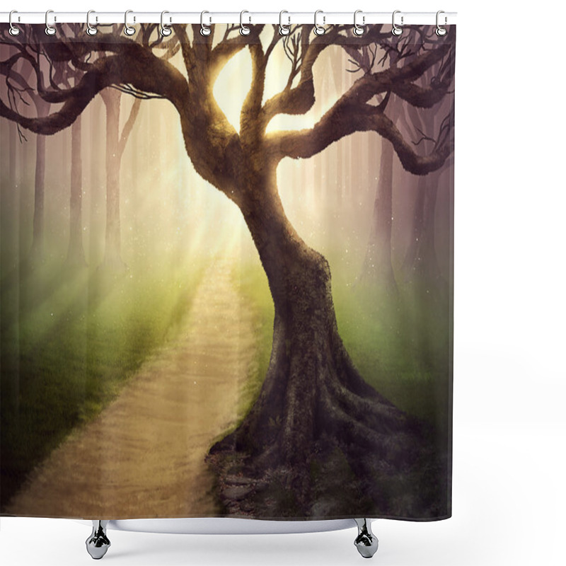 Personality  Forest Pathway Shower Curtains