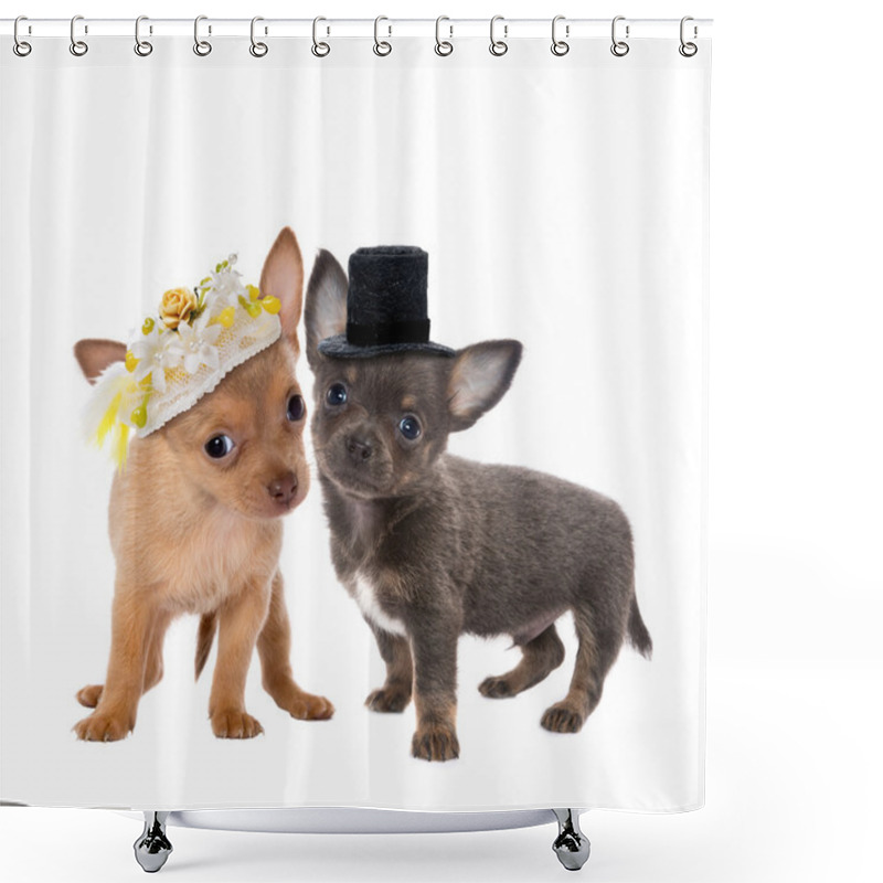 Personality  Dog Wedding Shower Curtains