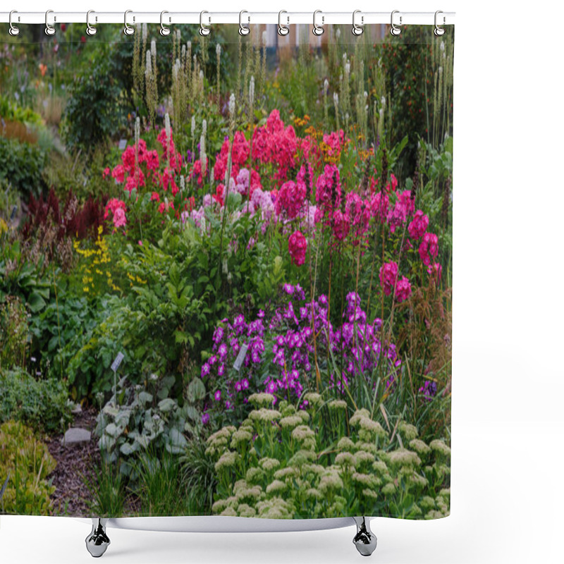 Personality  Flowers In The Autumn Garden. Flowering Perennials In The Garden Or Park Shower Curtains