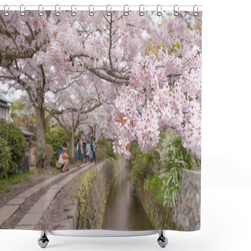 Personality  Philosopher's Walk With Sakura (cherry Blossom)  In The Springti Shower Curtains