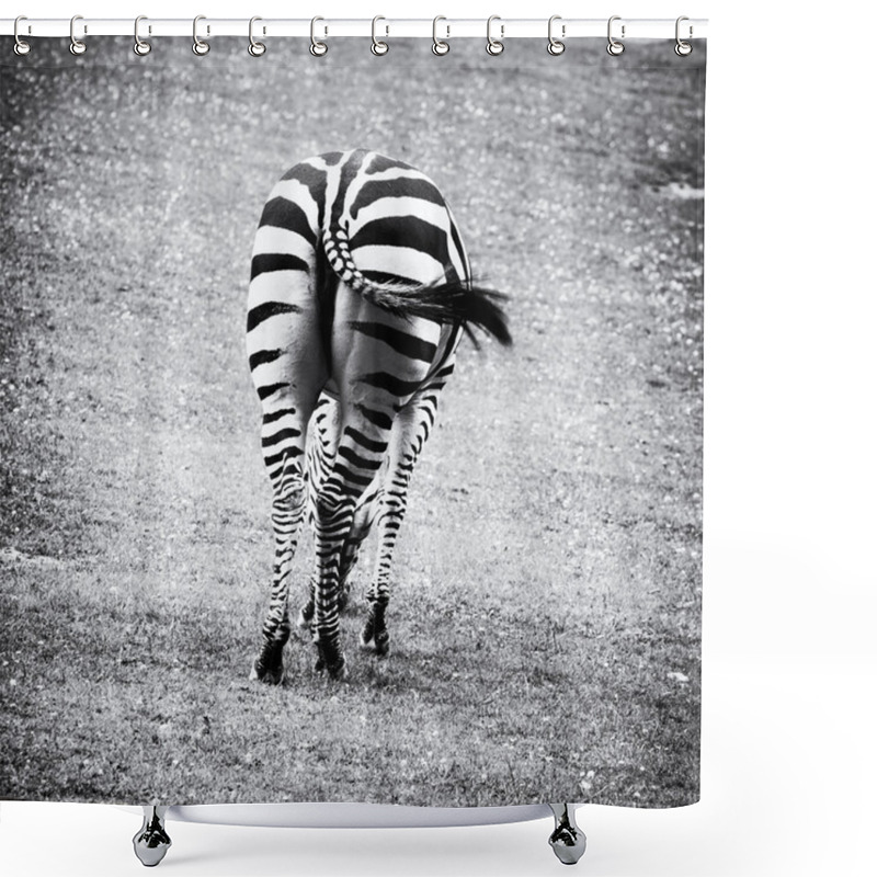 Personality  Rear View Of Zebra - Black And White Photo Shower Curtains