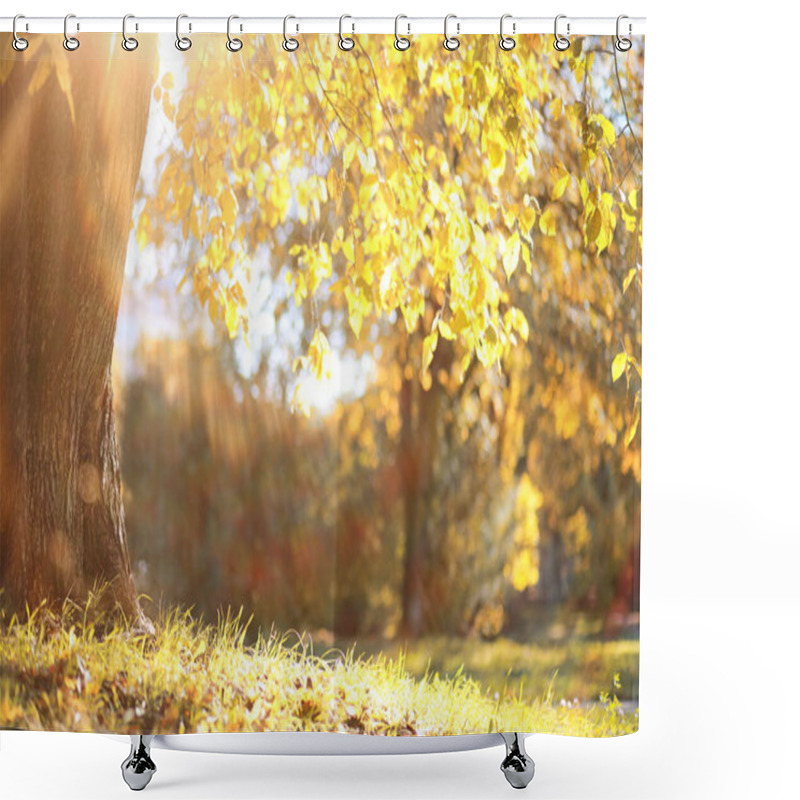 Personality  Autumn Background In The Park Shower Curtains