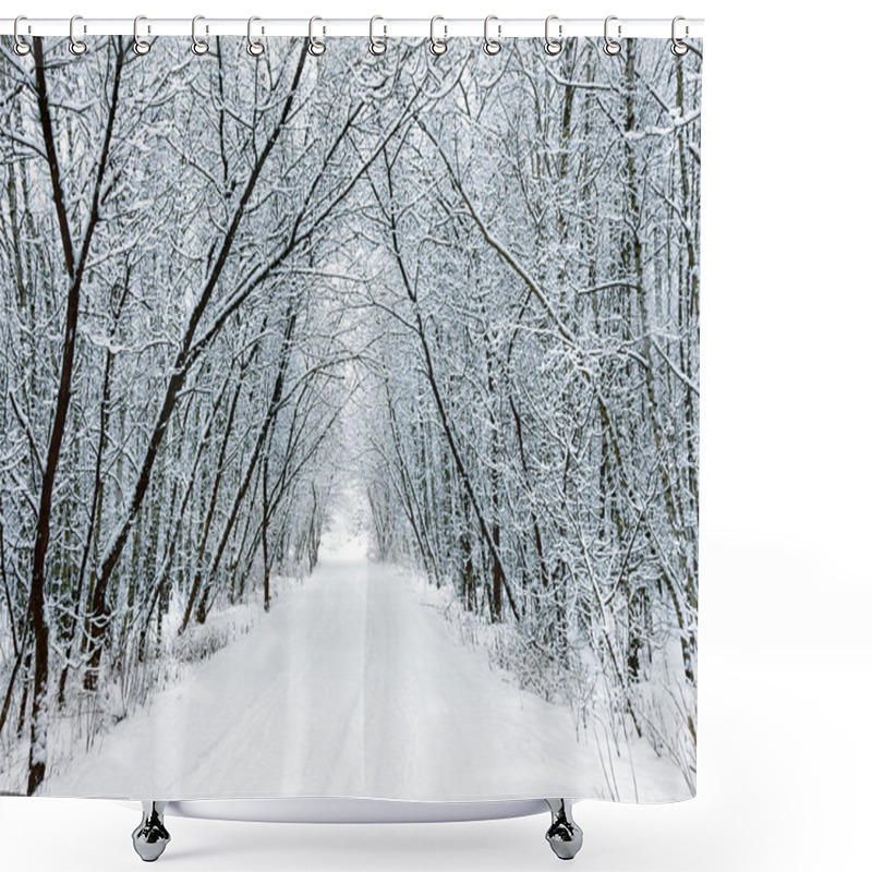 Personality  Snow Forest Alley Shower Curtains