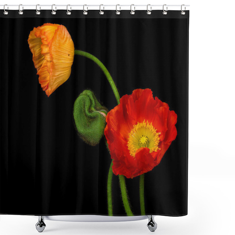 Personality  Red Poppies Shower Curtains