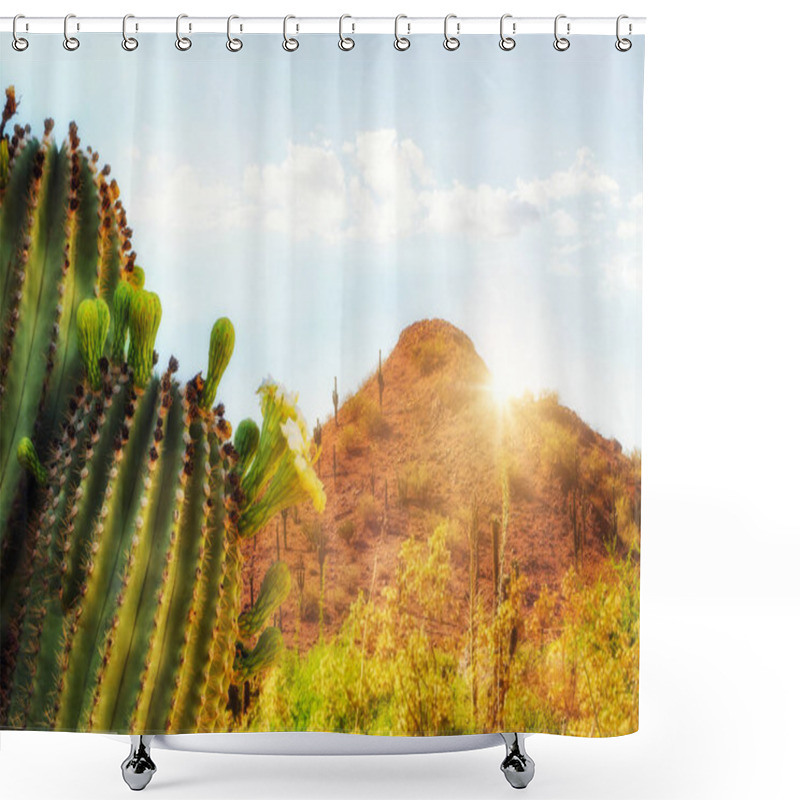 Personality  Phoenix Arizona Travel Scene With Blooming Saguaro Cactus And Red Mountain With Sunshine Shower Curtains