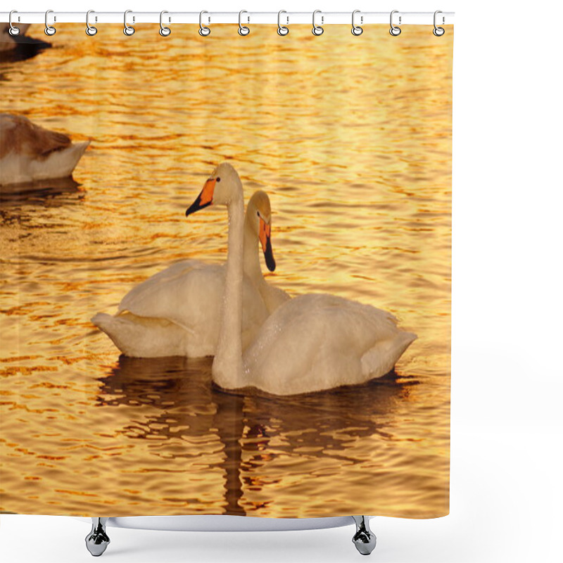 Personality  Sunset On The Bright (Swan) Lake In Winter. Shower Curtains