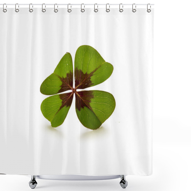 Personality  Four Leaf Clover  Isolated On White Background Shower Curtains