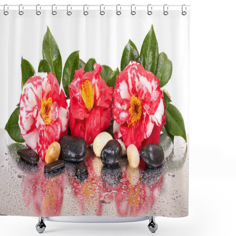 Personality  Camellia Flowers And Black Stones Isolated Shower Curtains