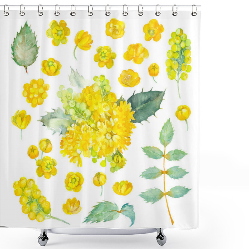 Personality  Mahonia Aquifolium. Set Of The Yellow Flowers, The Buds And The Leaves Of Oregon Grape. Watercolor Illustration. Shower Curtains