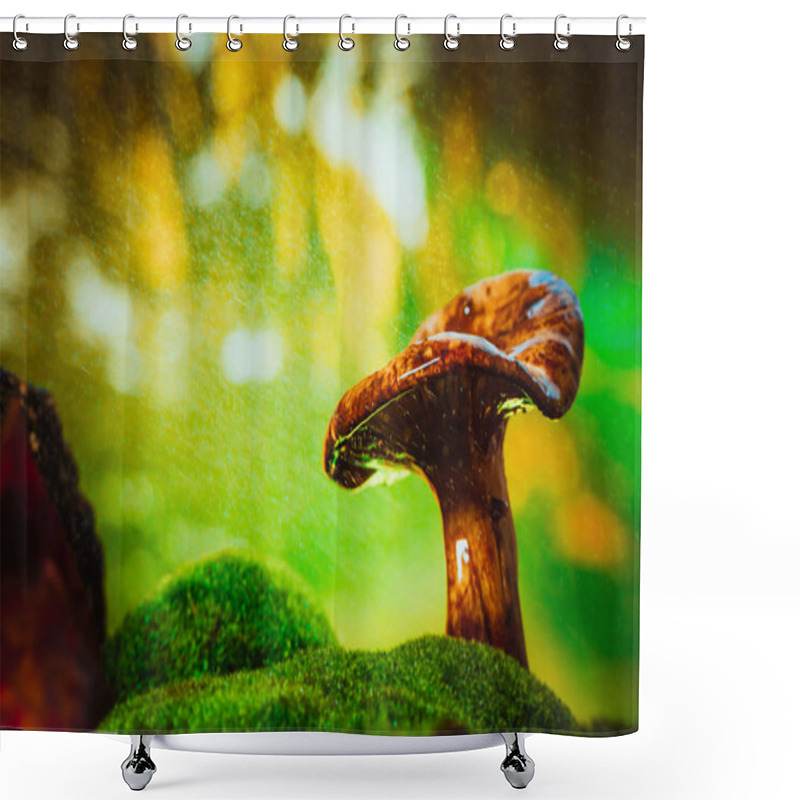 Personality  Fresh Chanterelle Mushroom Growing In The Woods On Moss Under Rain. Shower Curtains