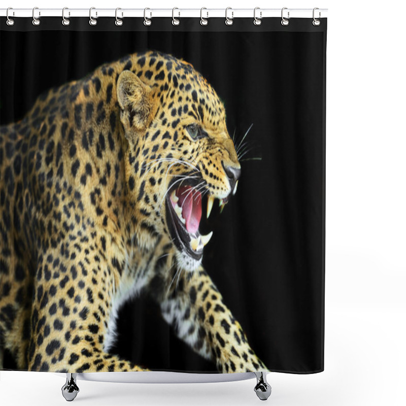 Personality  Wild Leopard Shower Curtains