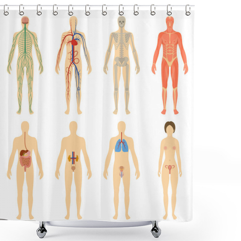 Personality  Set Of Human Organs And Systems Of The Body Vitality. Shower Curtains