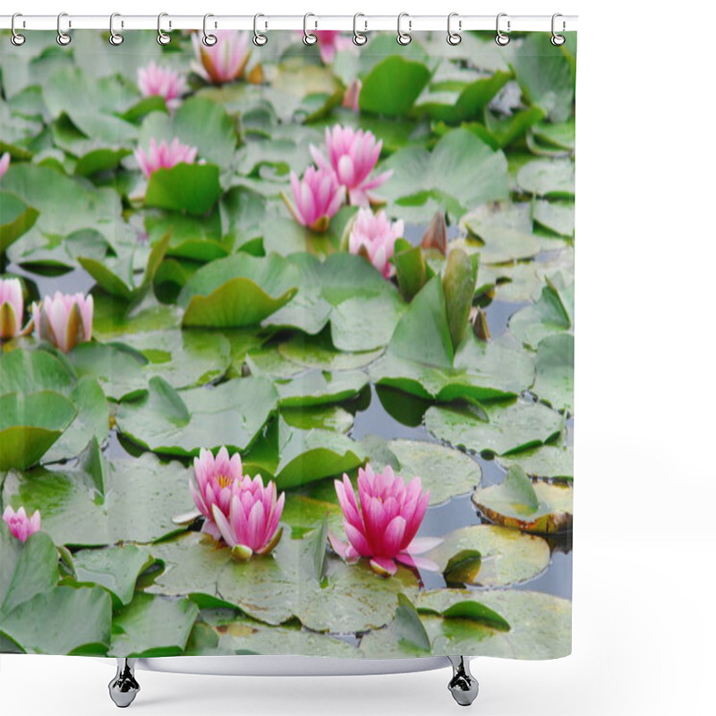 Personality  Beautiful Water Lilies  Shower Curtains